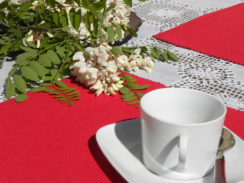 El Jardin De Los Gatos Apartament Caces Zewnętrze zdjęcie