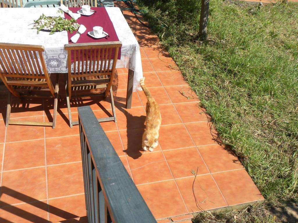 El Jardin De Los Gatos Apartament Caces Zewnętrze zdjęcie